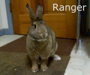 ranger1